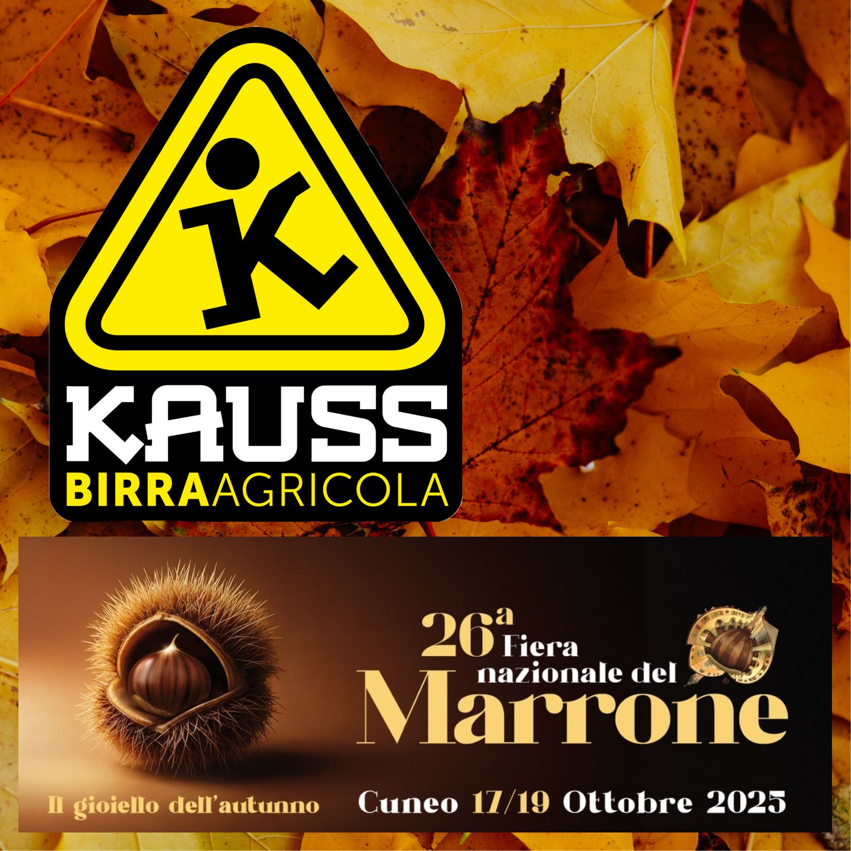 Locandina Kauss alla Fiera del Marrone