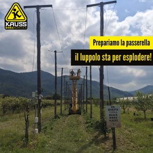 posa filo spinato nel luppoleto