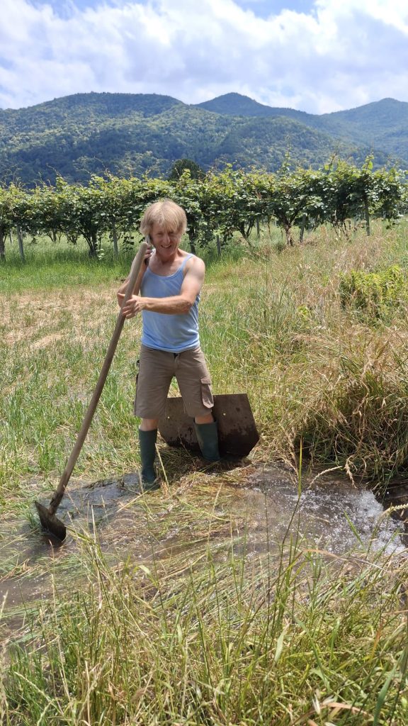 Luigi Cagioni irriga i campi di Kauss destinati al fieno per i toumin dal mel in rotazione all'orzo da birra