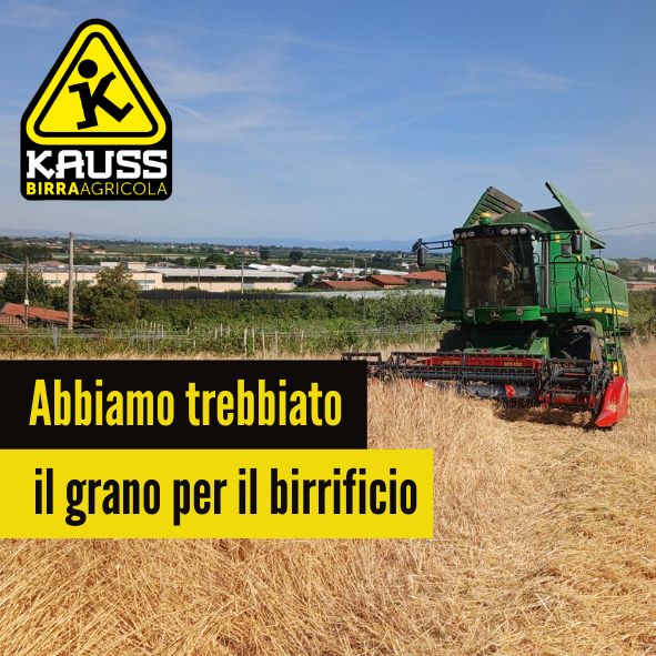 La trebbiatura del grano per il Birrificio Agricolo Kauss