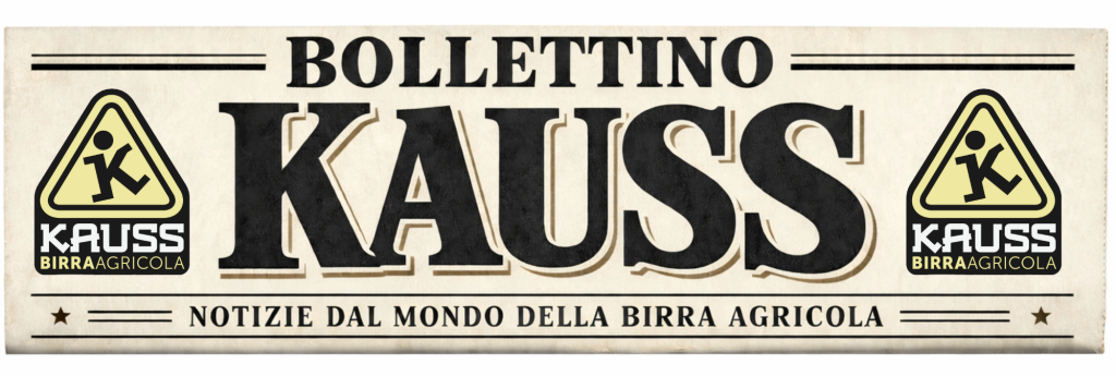 Scopri le news di Kauss